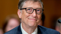 Bill Gates fajëson lopët për ngrohjen globale
