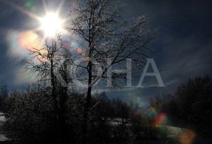 Foto: Alban Bujari