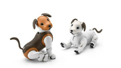 Sony risjell me ngjyra qenin-robot