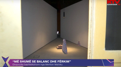 Ekspozita bashkëkohore nga Meriton Maloku