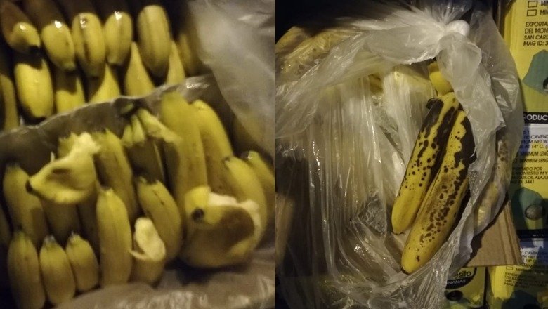 AKU bllokon në Portin e Durrësit 41.7 ton banane të prishura