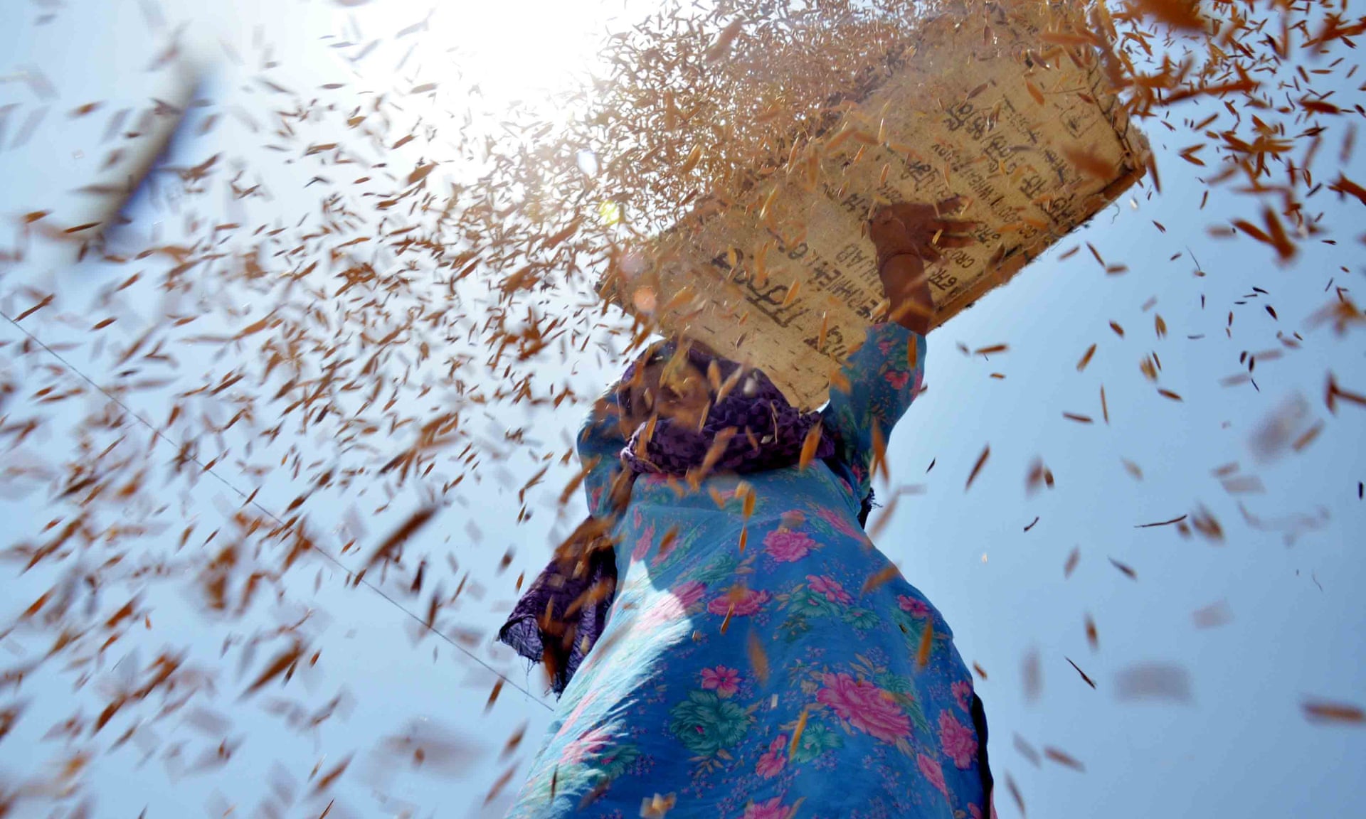 Foto: The Guardian