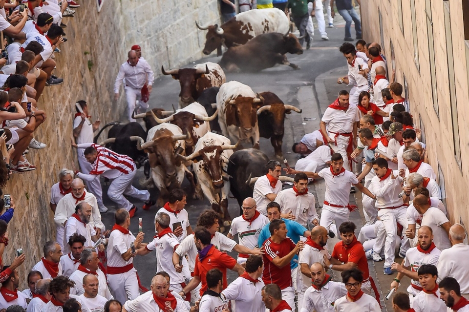 Pesë të lënduar në festivalin spanjoll të vrapimit me dema