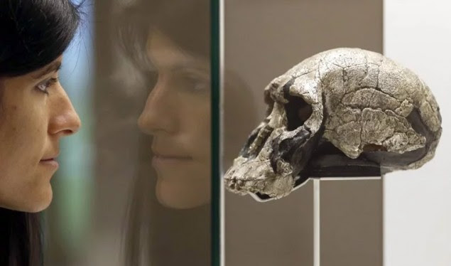 Homosapiens erdhi në Evropë 150.000 vjet më herët se që mendohej
