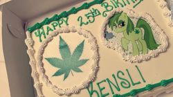 Porositi tortë me “Moana”, por i sollën “Marihuana”