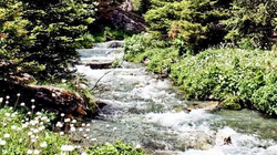 Komuna e Junikut, e shqetësuar me devijimin e rrjedhës natyrale të lumit “Ereniku i Vogël”, kërkon ndërhyrjen e Kryeministrit