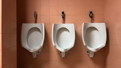Dyert e banjës së burrave kanë 6 herë më shumë mikrobe sesa ato të grave