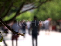 Foto: Koha