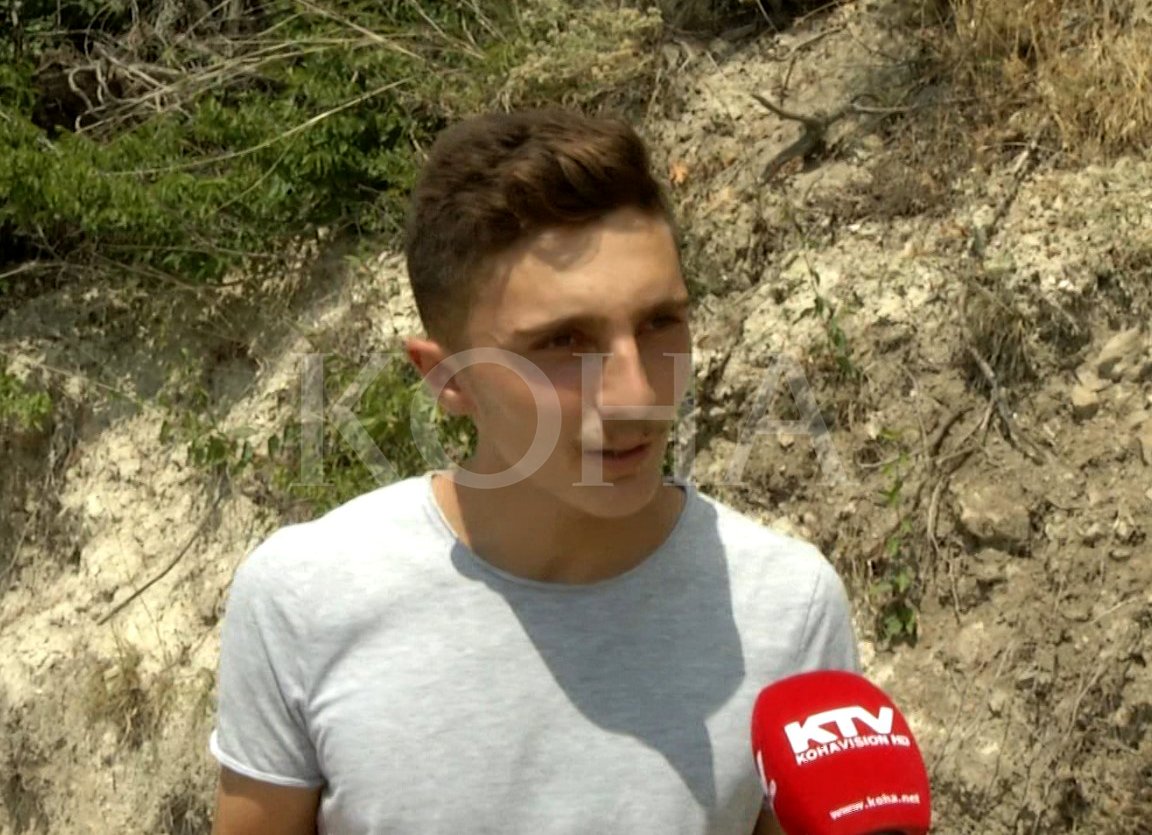 Një i mitur në Paldenicë të Hanit të Elezit që u sulmua nga një ujk, rrëfen se si shpëtoi