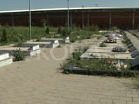 Foto: Koha