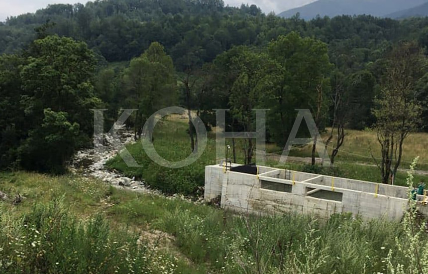 Foto: Koha