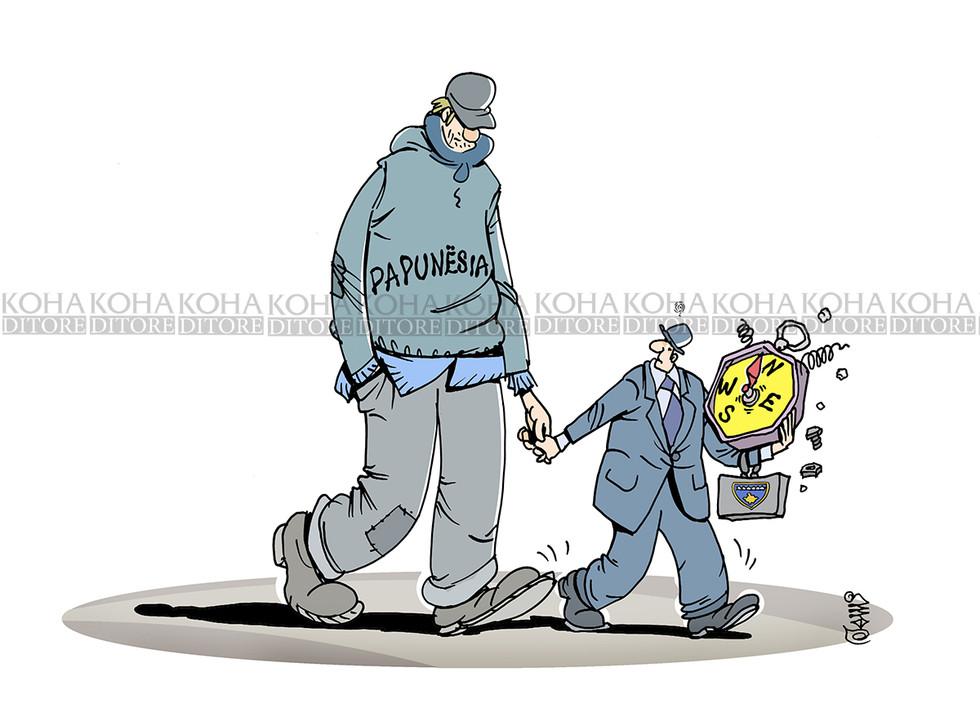 Karikatura e ditës - 21 qershor 2019