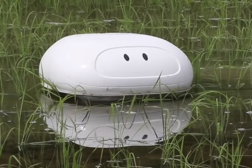 The robot is invented which can help Japanese farmers to clear rice ...