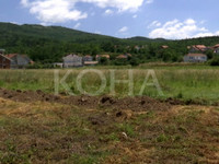 Foto: Koha