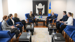 Suedia, partnere e Kosovës në zhvillim