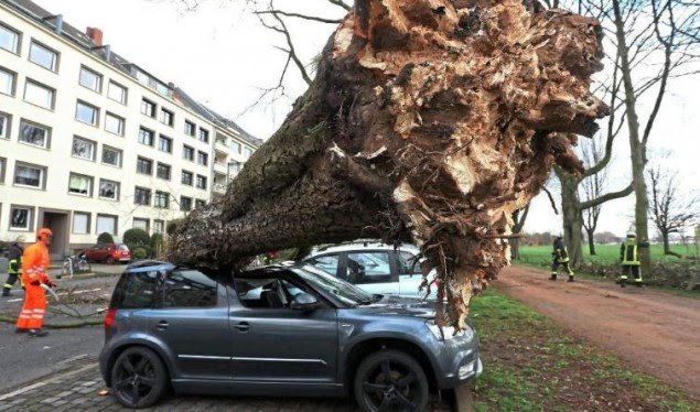 Moti i lig shkaktoi kaos në Gjermani, çrregulloi trafikun, nxori pemët me rrënjë