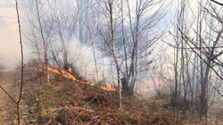 Ekipet Emergjente në Mitrovicë mobilizohen për parandalimin e zjarreve