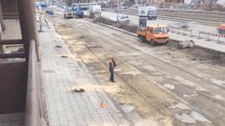 Në Pejë priten dhjetëra pemë në rrugën ku po ndërtohet “Bulevardi i gjelbër”