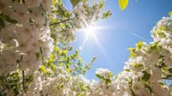 Temperaturat sot në Shqipëri nga 2°C deri në 22°C