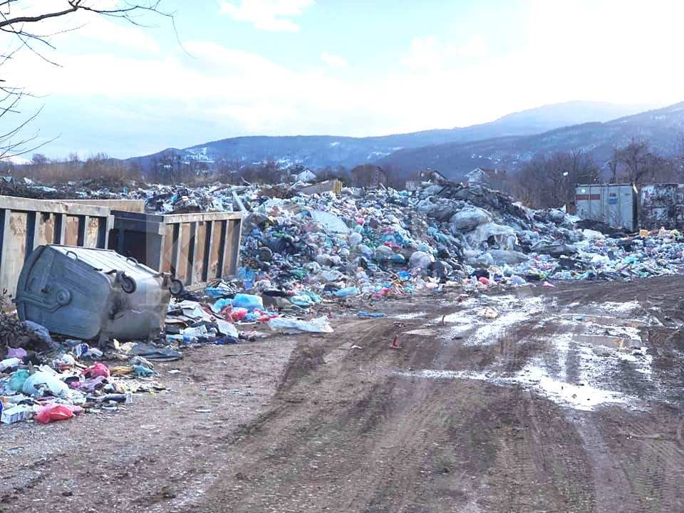 Foto: Koha