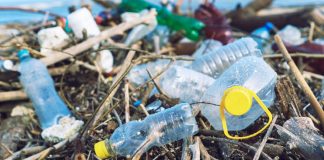 BE-ja ndalon me ligj produktet plastike njëpërdorimshme