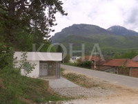 Foto: Koha