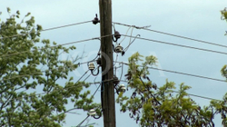Banorët e Sojevës në Ferizaj frikësohen nga rrjeti i vjetër elektrik