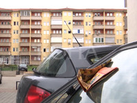 Foto: Koha
