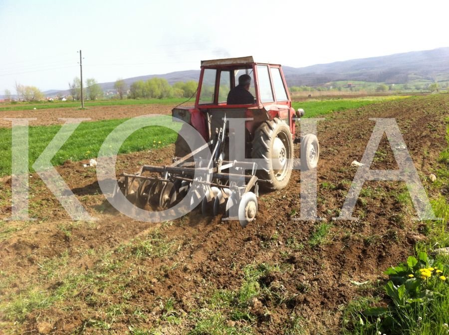 Foto: Koha / ilustrim