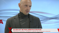 Shasha: Vendet e Ballkanit Perëndimor nuk duhet të presin shumë nga zgjedhjet në BE
