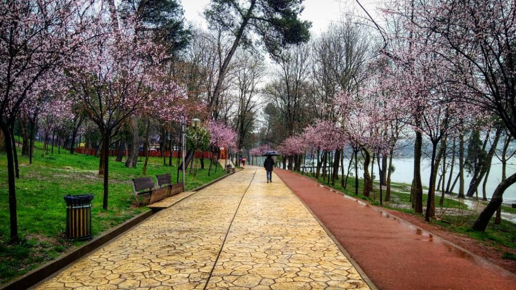 Foto: Tirana Post / ilustrim