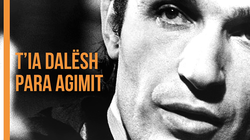 “T'ia dalësh para agimit” për arratisjen nga burgu