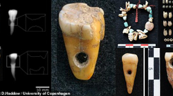 Dhëmbët e njerëzve si bizhuteri gjenden në rrënojat e qytetit 9000-vjeçar turk