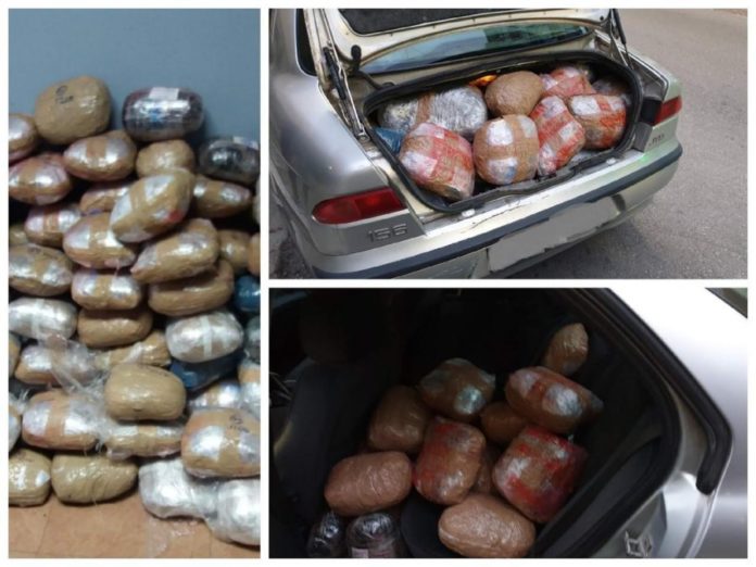 Po transportonte 107 kg kanabis, arrestohet shqiptari në Greqi