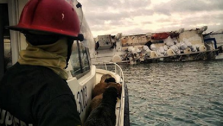 Përmbyset anija rumune që transportonte 14,000 dele për në Arabinë Saudite