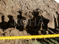 Foto: Arkiv/Ilustrim