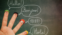 60% e shqiptarëve nuk flasin asnjë gjuhë të huaj