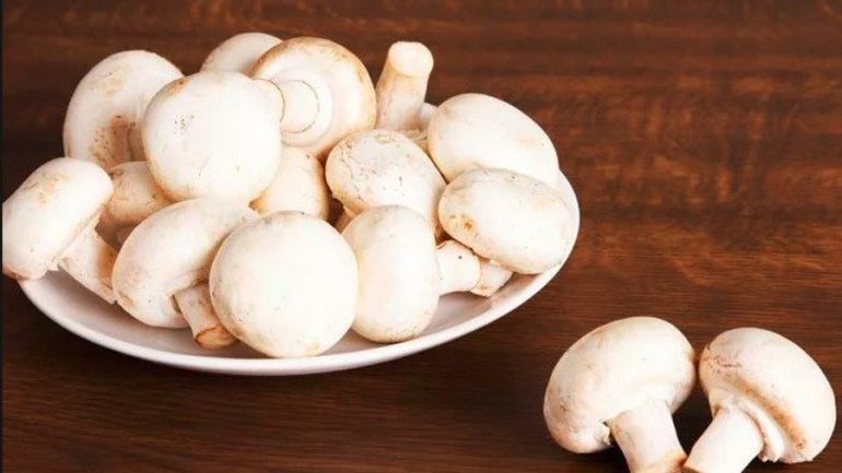 Konsumimi i kërpudhave ul rrezikun nga kanceri i prostatës