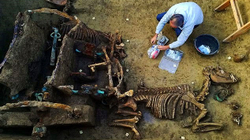 Zbulohet qerrja romake me dy kuaj e varrosur 1,800 vjet më parë në Kroaci