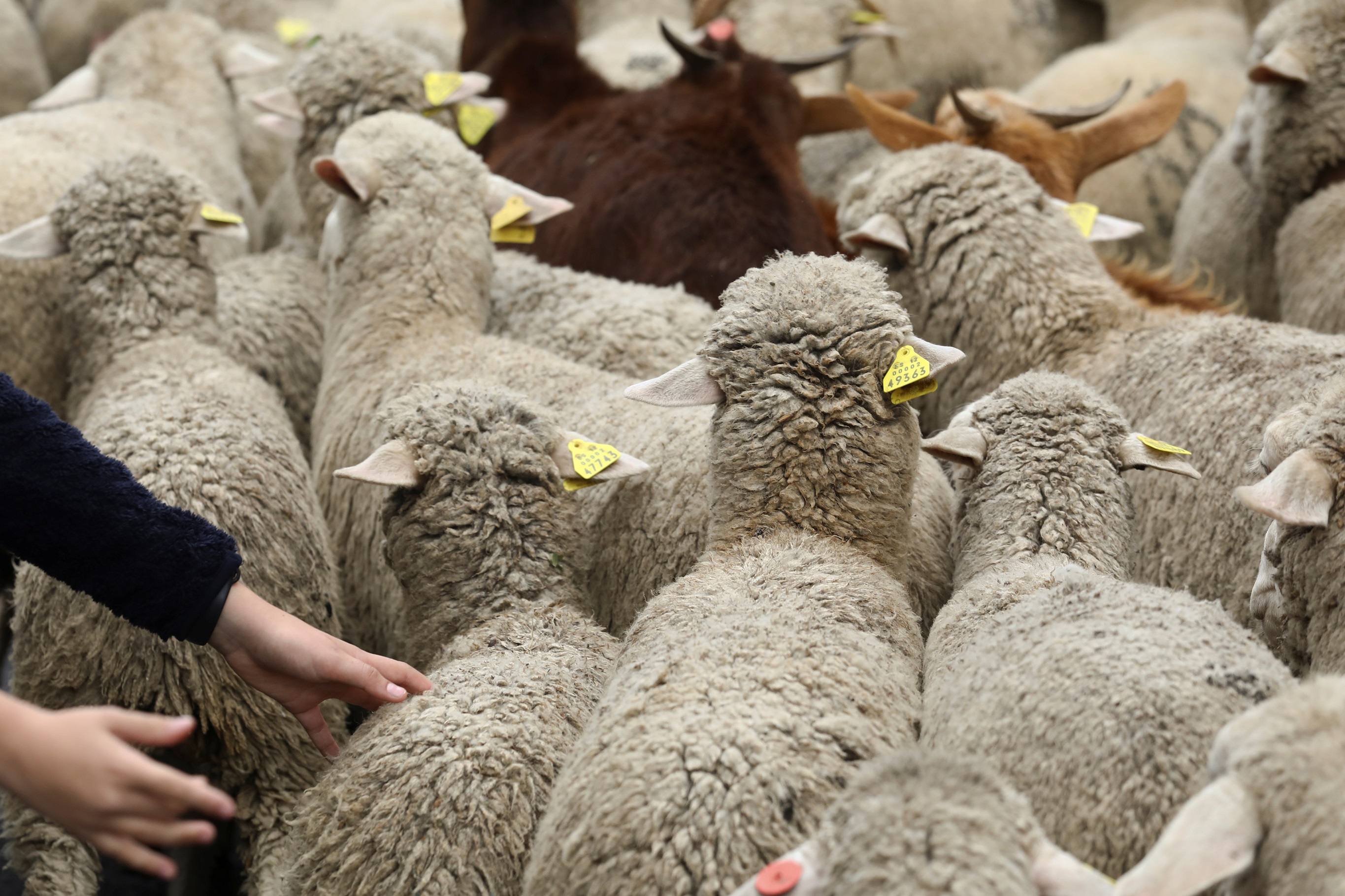 Foto: Reuters