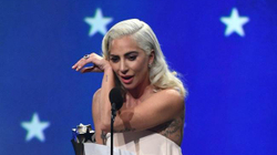 Lady Gaga ofron 500 mijë dollarë për atë që i kthen dy qentë e saj të vjedhur