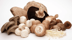 Kërpudhat, ideale për diabetikët, parandalojnë kancerin e prostatës dhe të gjirit