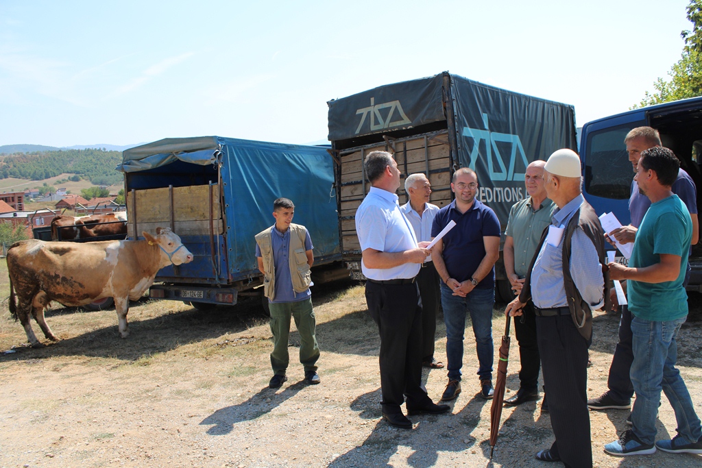 Shkolla “Arbëria” në Gjilan ua dhuron pesë krerë gjedhesh pesë fermerëve
