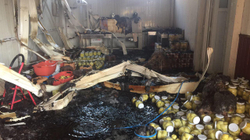 Përfshihet nga zjarri Kooperativa bujqësore “Krusha” në Rahovec, dëmet janë të mëdha