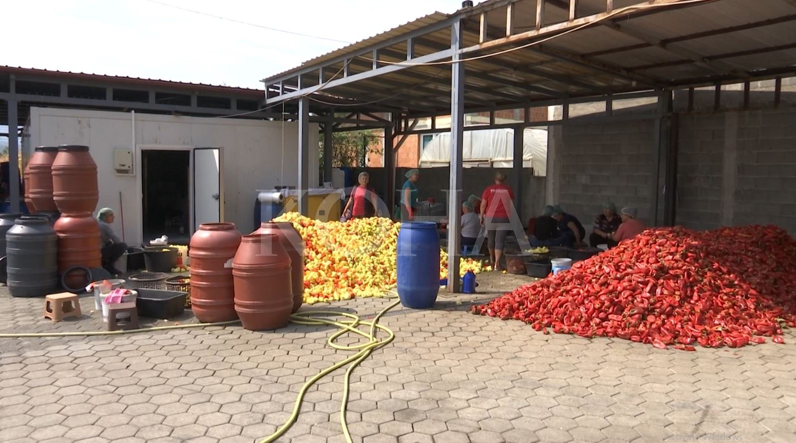 Gratë e kooperativës “Krusha” vazhdojnë punën në oborr, komuna premton përkrahje