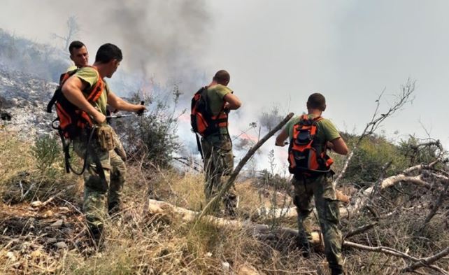 Në Shqipëri kësaj vere ishin 324 vatra zjarri, kryesisht të qëllimshme