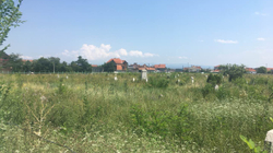 Rregullimi i varrezave në Ferizaj, peng i kufizimeve buxhetore