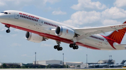 Zjarrfikësit me topa uji largojnë bletët nga aeroplani