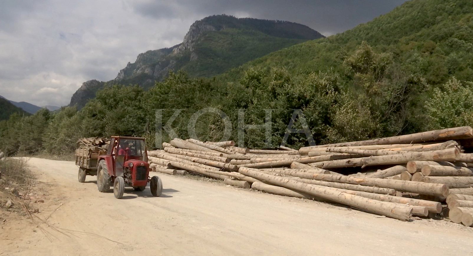 Foto: Koha / ilustrim