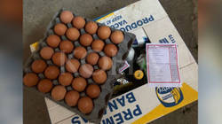 VV-ja akuzon zyrtarët e koalicionit NISMA-AKR-PD për blerje votash